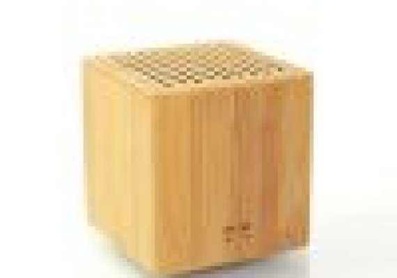 LEICKE-Bluetooth-Portable-Speaker-1-100×100